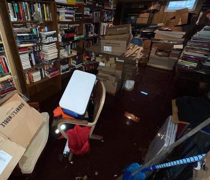 standing water in a basement full of books and boxes