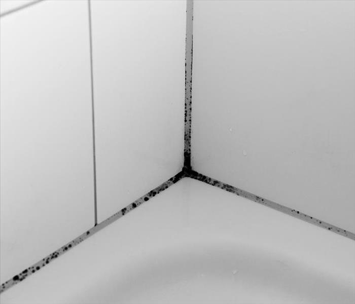 mold growing on tile grout on a bathtub surround