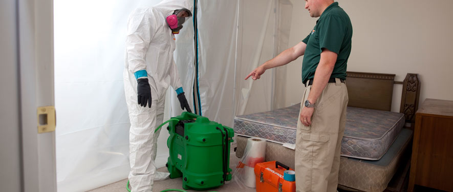 East Lansing, MI mold removal process